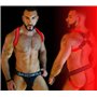 BREEDWELL Red Glow Jockstrap System