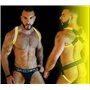 BREEDWELL Yellow Glow Jockstrap System