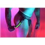 BREEDWELL Green Glow Jockstrap System