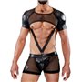 TOF - Full Harness Spartacus Black