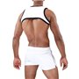 TOF - Harness Deri White