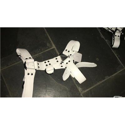 Bulldog Leather Harness White