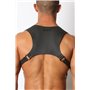 Cyclone Neoprene Harness Black