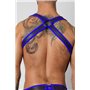 Gunner Neoprene Harness Blue