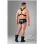 EnForce Waist-high Codpiece Briefs Regular Rear Black