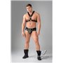 EnForce Waist-high Codpiece Briefs Zipped Rear Black