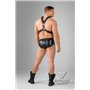 EnForce Waist-high Codpiece Briefs Zipped Rear Black