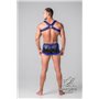 Youngero Generation Y Men's Fetish Bulldog Harness Royal Blue