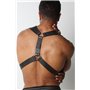 AXIOM NEOPRENE HARNESS