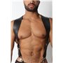 AXIOM NEOPRENE HARNESS