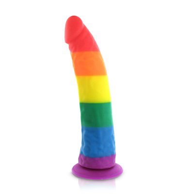 Pride Dildo - Silicone Rainbow Dildo