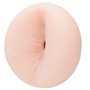 Fleshjack Boys - Boomer Banks Butt Sonic Boom