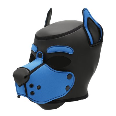 Mr-S Neo K9 Hood: Aqua