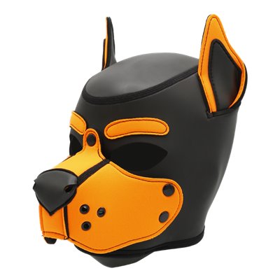 Mr-S Neo K9 Hood: Orange