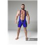 MASKULO - Wrestling Singlet Codpiece full thigh Pads Royal Blue