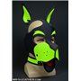 Neo WOOF! Head Harness Lime