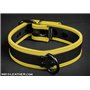 Neo Puppy Collar Yellow Piping