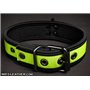 Neo Puppy Collar Lime