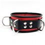 Leather collar- 3D ring - Red/Black