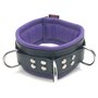 Leather collar - padding - 3D ring - Black/Purple