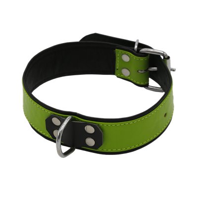 Addikt Smooth Leather Collar: Green & Black