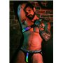 BREEDWELL Rainbow Glow Asymmetrical Harness