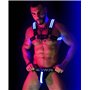 BREEDWELL Blue Glow Bulldog Harness