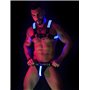 BREEDWELL Blue Glow Bulldog Harness