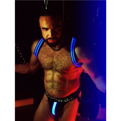 BREEDWELL Blue Glow Shoulder Harness